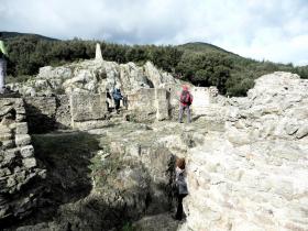 photo coins arrondis